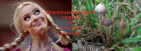 MESCALINE Алзамай